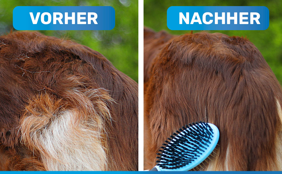 Щітка для собак BluePet 2в1 для довгої та короткої шерсті, для цуценят та котів. Розчісування, вирівнювання, вибирання. Універсальна щітка з щетиною (Рожева, M-L)