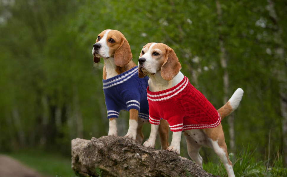 Теплий собачий светр LiebeDD з V-подібним вирізом для маленьких та середніх собак, червоний (M)