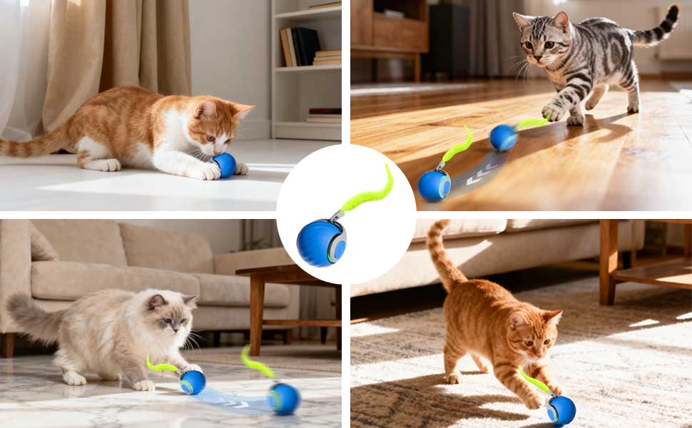 Інтерактивна іграшка для котів - м'ячик з федерцем, перезаряджається, 2 режими, автоматичний, для дому, самостійної розваги (Помаранчевий) (1 x Синій)