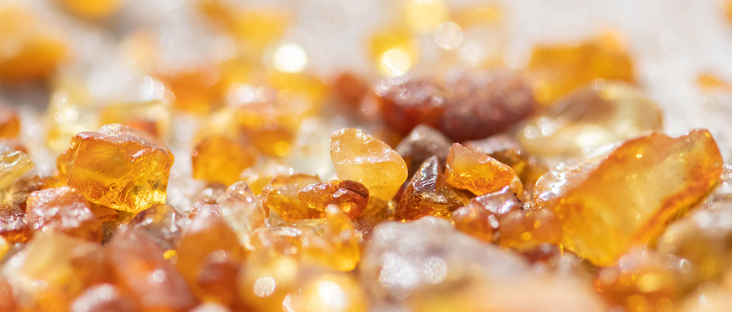 Нашийник для собак та котів Amberta Bernstein: бурштинова прикраса, 40-45 см