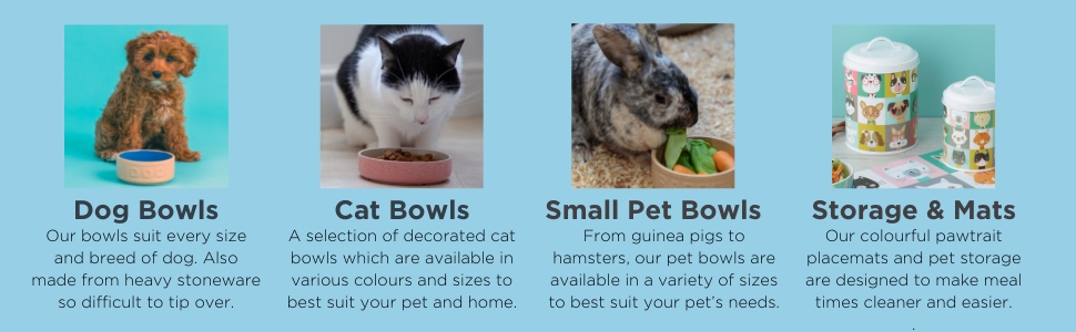 Миска для собак Mason Cash з порцеляни, з ручкою та синім написом, 15 см, 1 шт.