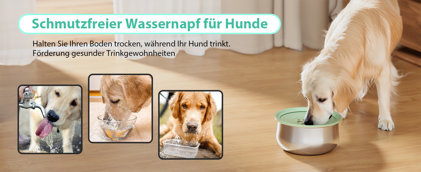 Миска для води для собак Stouchi, не розливається, нержавіюча сталь, велика місткість, повільний диспенсер води, антиковзаюча, для подорожей, зелений колір