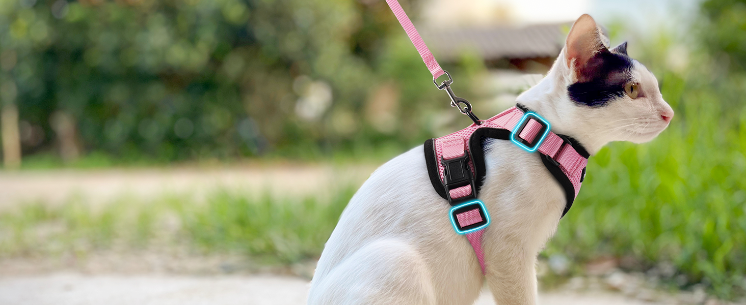 Шлейка для кота Rabbitgoo з повідком, м'яка шлейка для кота, шлейка-жилет для кота, безпечна та регульована, рожева, XS (1 шт.)