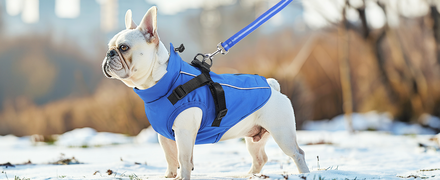Водонепроникний собачий дощовик для маленьких собак, тепла світловідбиваюча куртка з шлейкою для зими, костюм для катання на лижах, бавовна, чорний собачий пуловер S