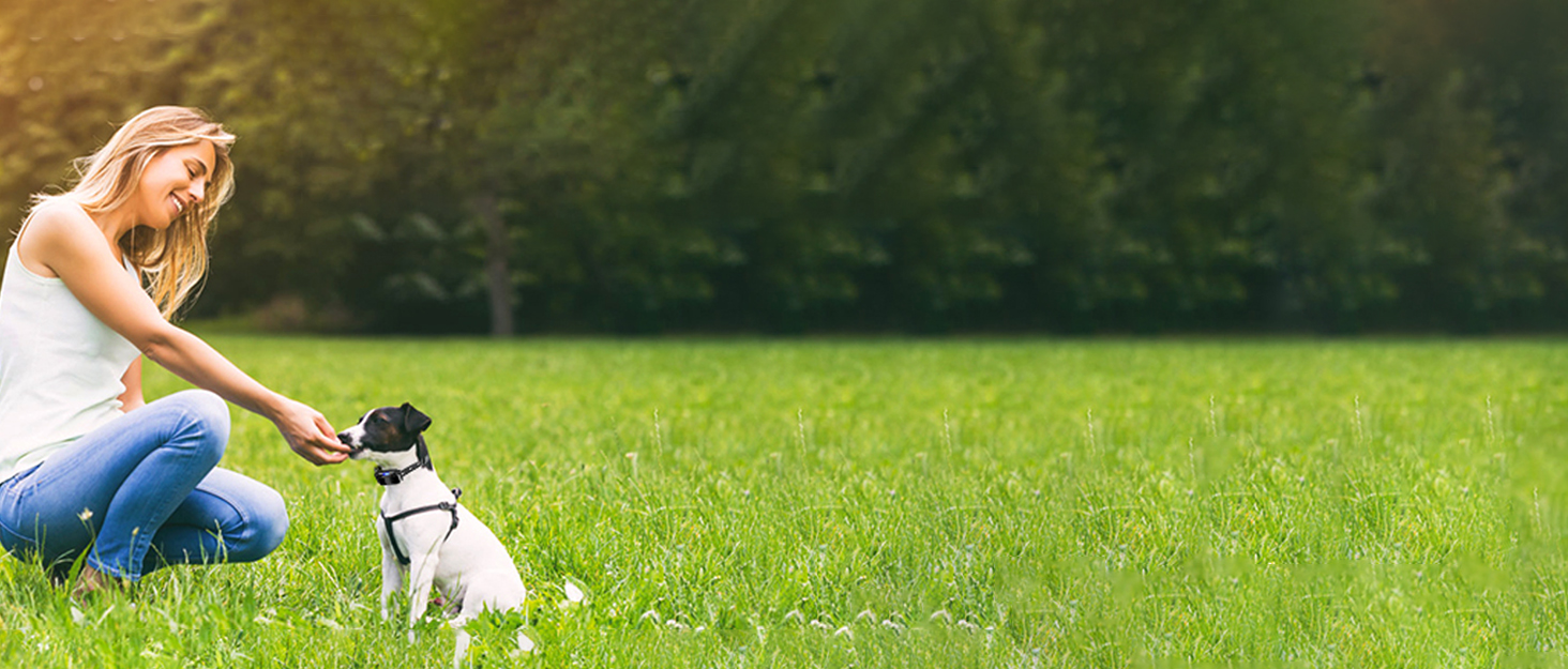 Захист для сходів з замком, розтяжне захисне ворота для дітей та собак, ширина 150 см, висота 83 см, сірий