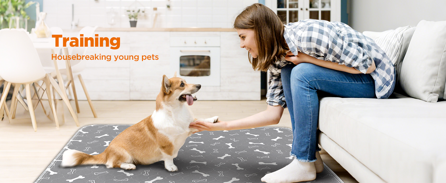 Підкладки для тварин Baodan, 2 шт. 90x60 см, водонепроникні, багаторазові, для собак, котів, кроликів