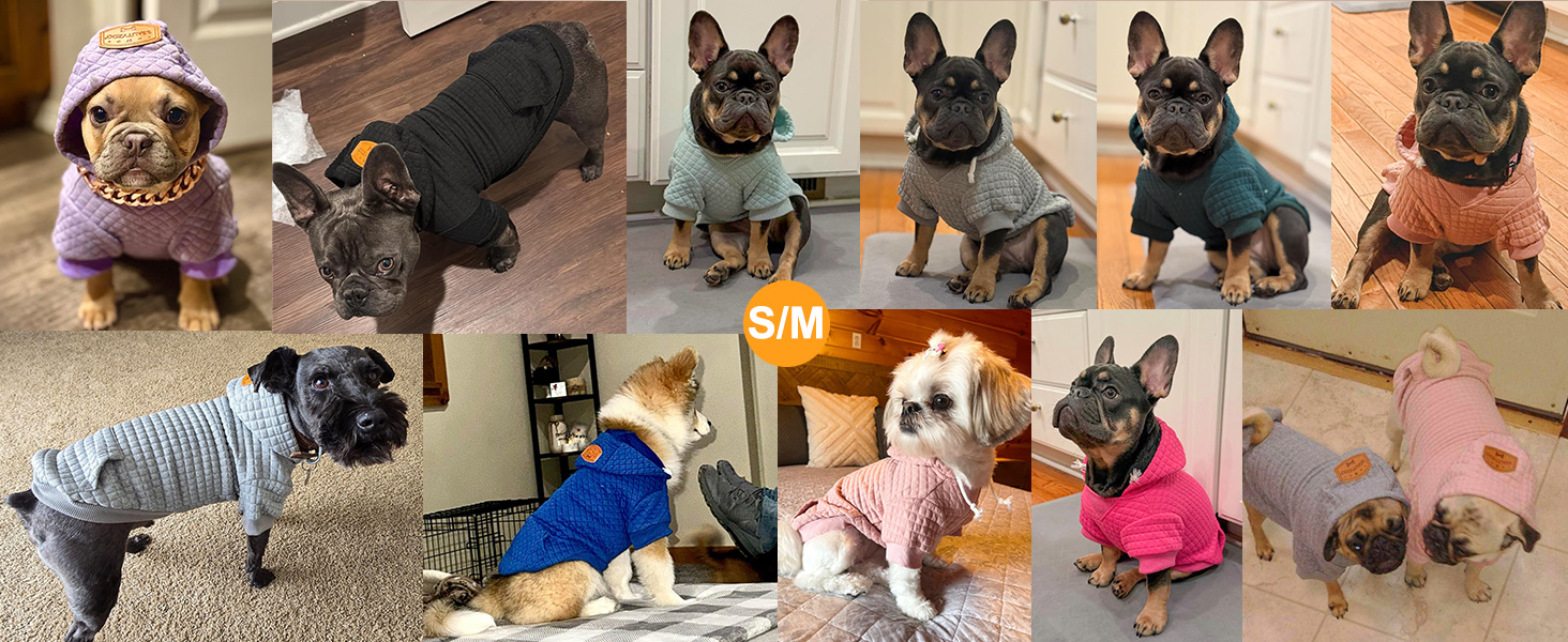 Теплий пуховик з капюшоном для собак середніх та маленьких порід від BEAUTYZOO, рожевий, з кишенями