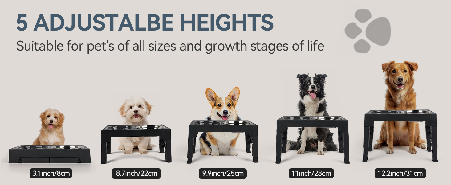 Підвищений годівниця для собак PAWISE, 5 рівнів регулювання, для собак маленьких, середніх та великих порід, з двома великими мисками з нержавіючої сталі, антиковзаюча, BPA free пластик