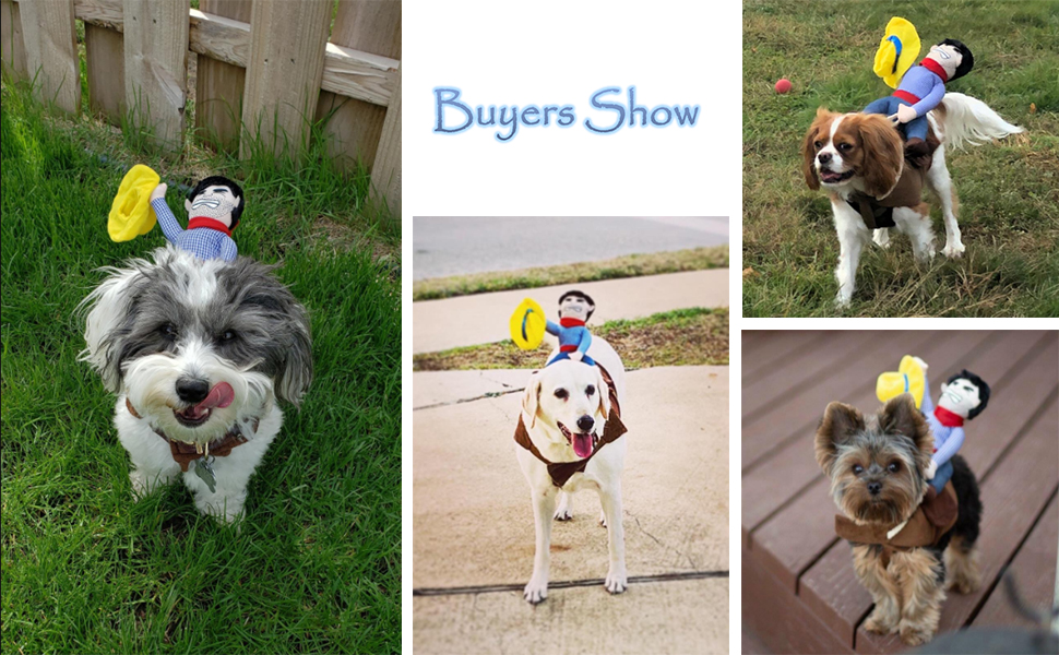 Костюм для собак: Веселий ковбой, костюм для коня, костюм для собак, костюм лицаря, з маскою та капелюхом для Хелловіну, косплей, вечірка (L)