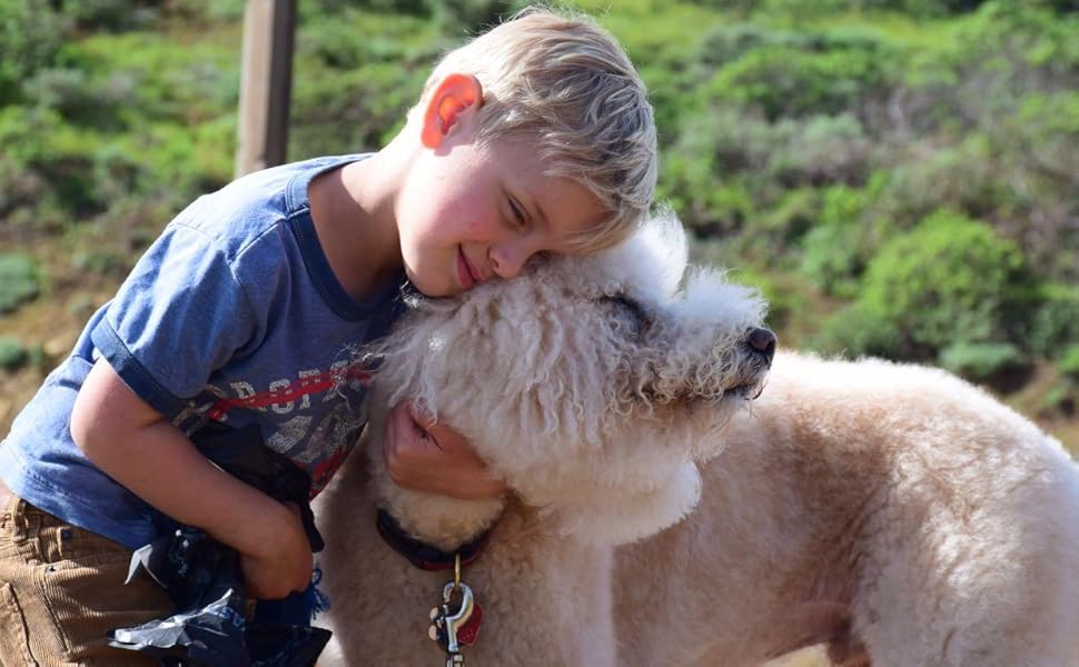 Килимок для собак Elropet Premium 30mm, неслизький, S/M/L для маленьких та великих собак, Vet Bed, найвища якість (S 80cm X 50cm, сірий зірки)