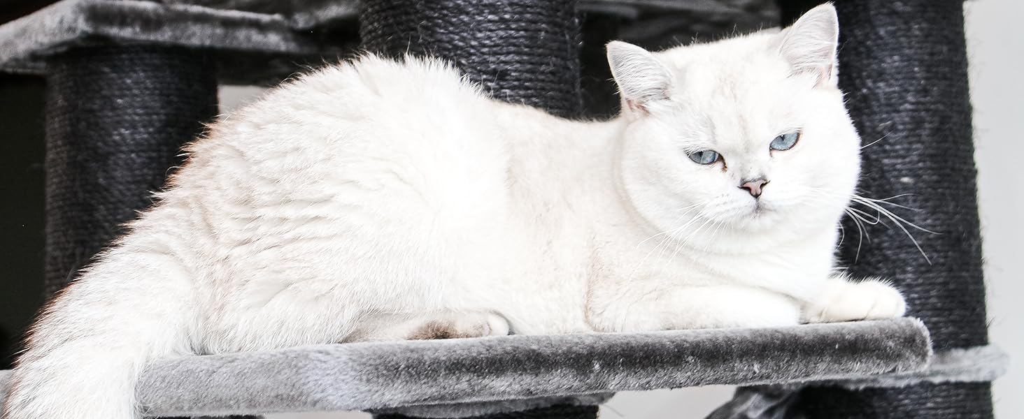 Дряпальня для котів Petrebels Maine Coon XXL, 210 см, з сизалю, чорного кольору