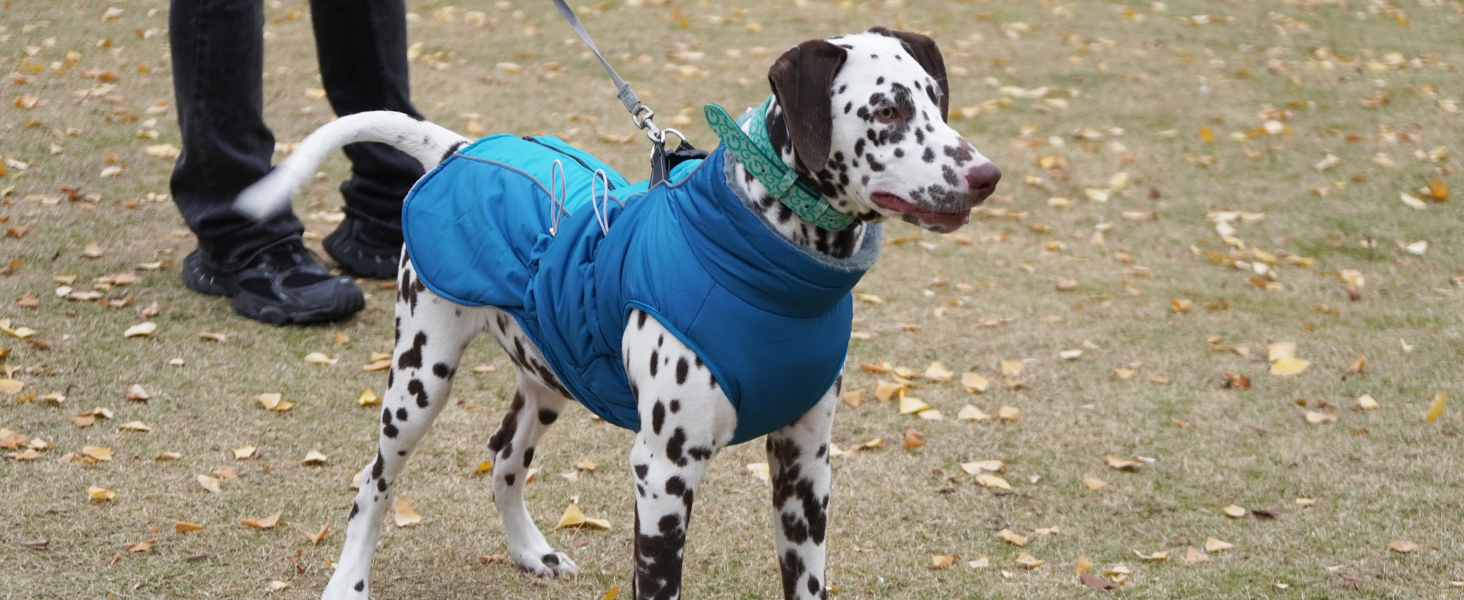 Водонепроникний теплий зимовий одяг для собак - куртка-манжетка з отвором для шлейки, камуфляж Olive Drab (3XL)