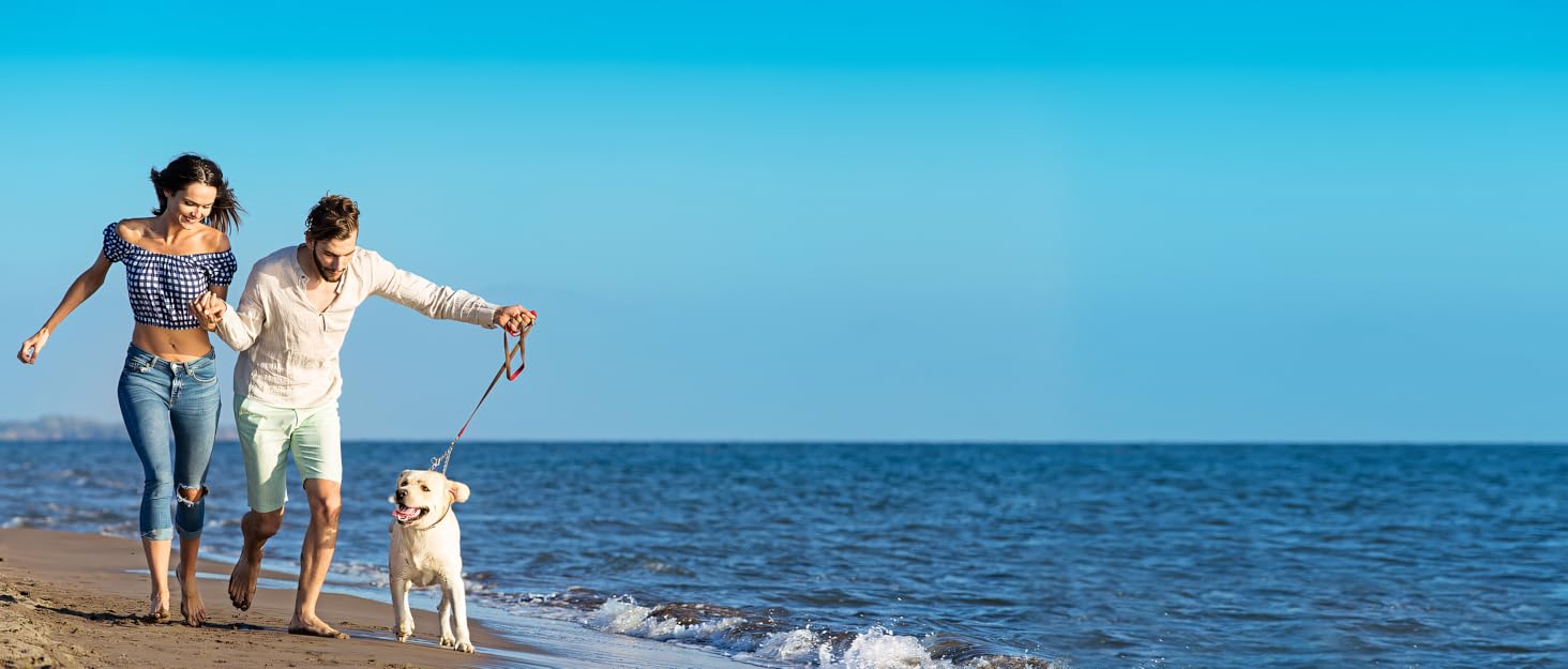 Шлейка-гамак для грумінгу собак OVTEXZOG, переноска для стрижки кігтів, гамакова сумка для собак під час грумінгу (середня, до 20 кг, блакитна)