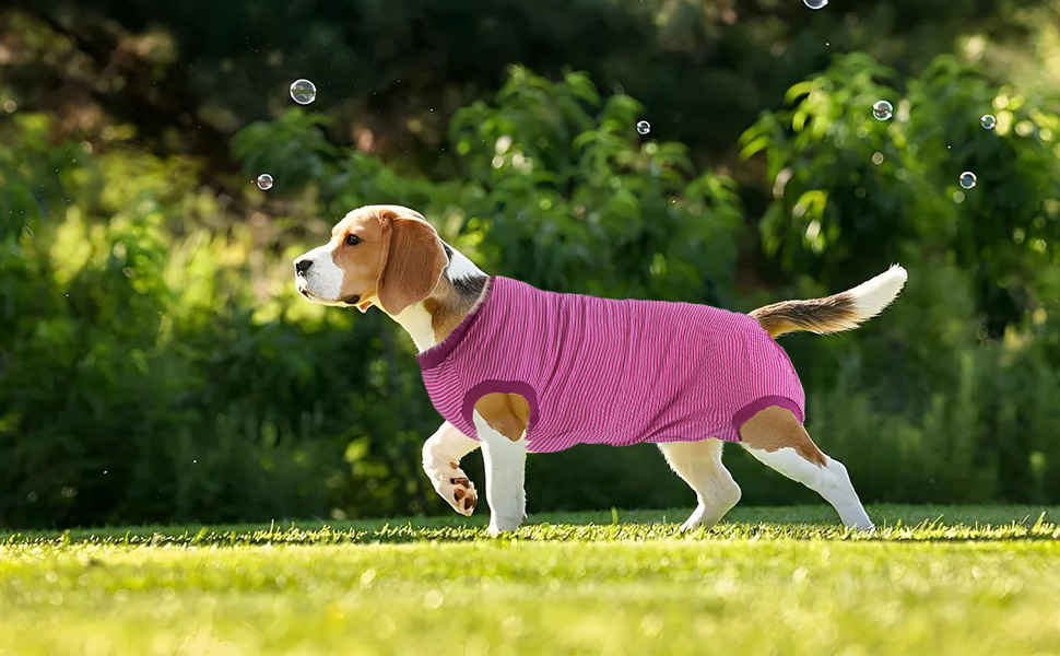 Операційний боді для собак після операції: захист від лизання, для кастрації, для кобелів та сук, медичний боді, захист рани, розмір S, колір фуксія