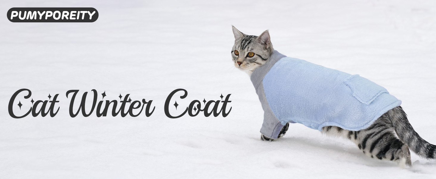 Пуловер з коміром-стійкою