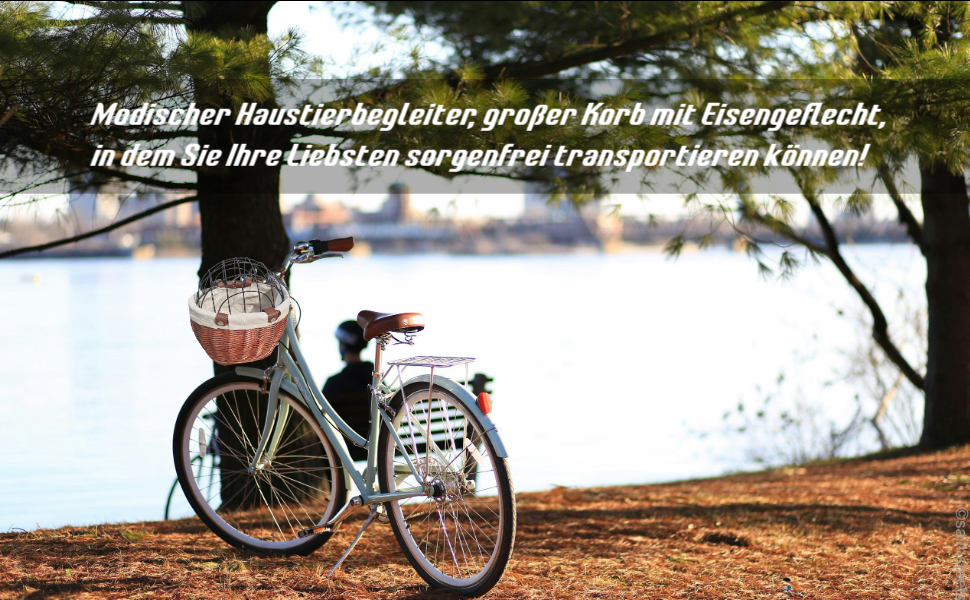 Корзина для велосипеда Perfeclan для тварин (котів та собак), з металевим покриттям, кріпиться на руль, дерев'яного кольору, для прогулянок на велосипеді