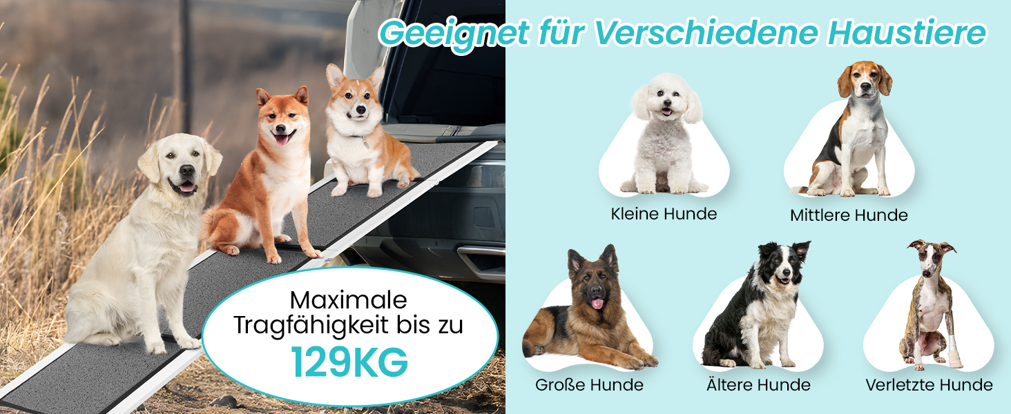 Рампа для собак DAISTERN від BSWAY, 170 x 44 см, складана, з м'яким килимом, алюмінієвий каркас з порошковим покриттям, для собак середніх та великих порід