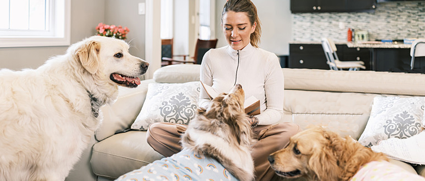 Велике ортопедичне ліжко для собак XXL, чорне (100x80x22 см), миється, для великих собак