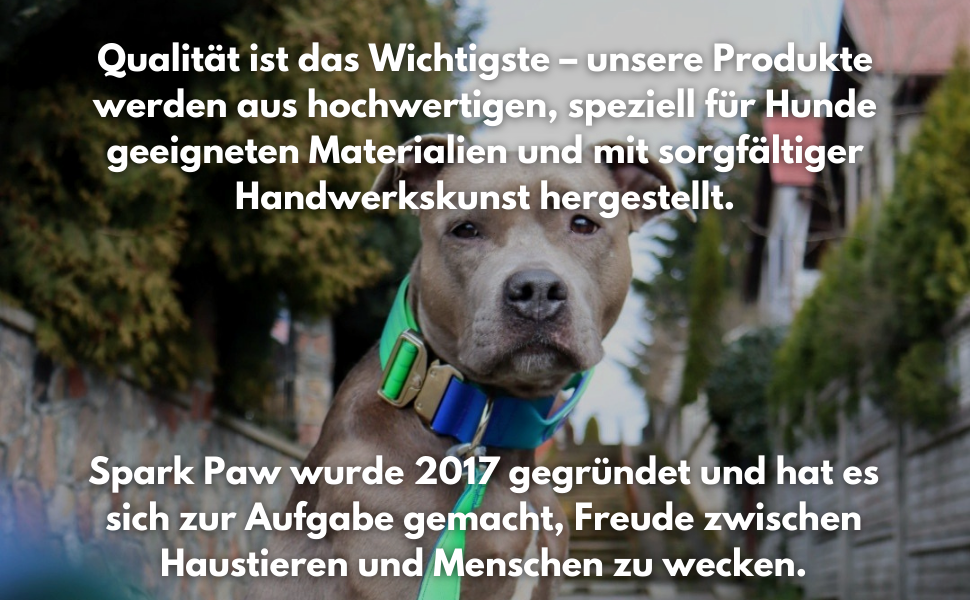 Spark Paws тактичний нашийник для собак – міцний, преміум якість, широкий 5 см, для середніх і великих порід, лайм