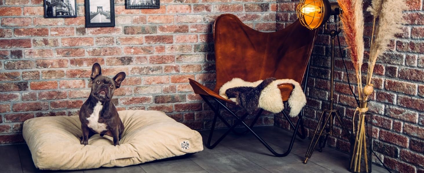 Ортопедичне ліжко для собак Roth & Bock з м'якої піни, сертифіковане Oeko-Tex Standard 100, покриття з водонепроникного канвасу, жовте, розмір S