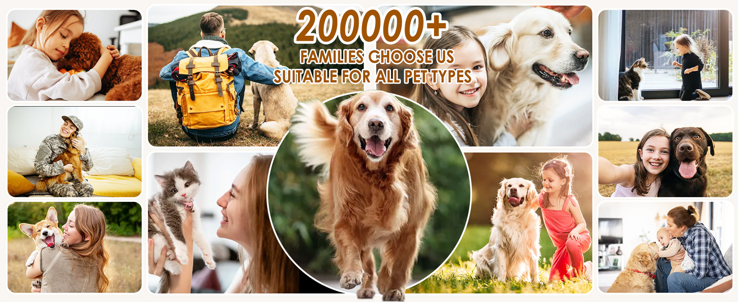 Rywell Професійна машинка для стрижки собак 4L з пилососом, 13000 Pa, 6 насадок для грумінгу, щітка для собак, пилосос для собак з щіткою, тиха