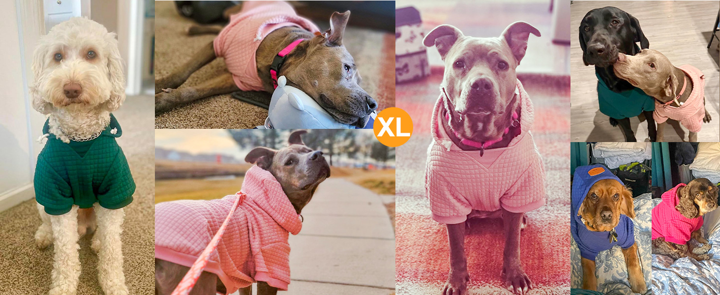 Теплий пуховик з капюшоном для собак середніх та маленьких порід від BEAUTYZOO, рожевий, з кишенями