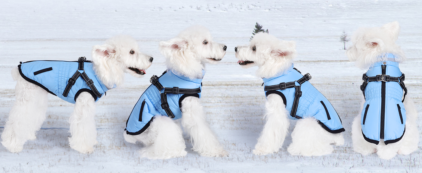 Водонепроникний теплий зимовий теплий куртка для собак та котів. Зелений, на блискавці