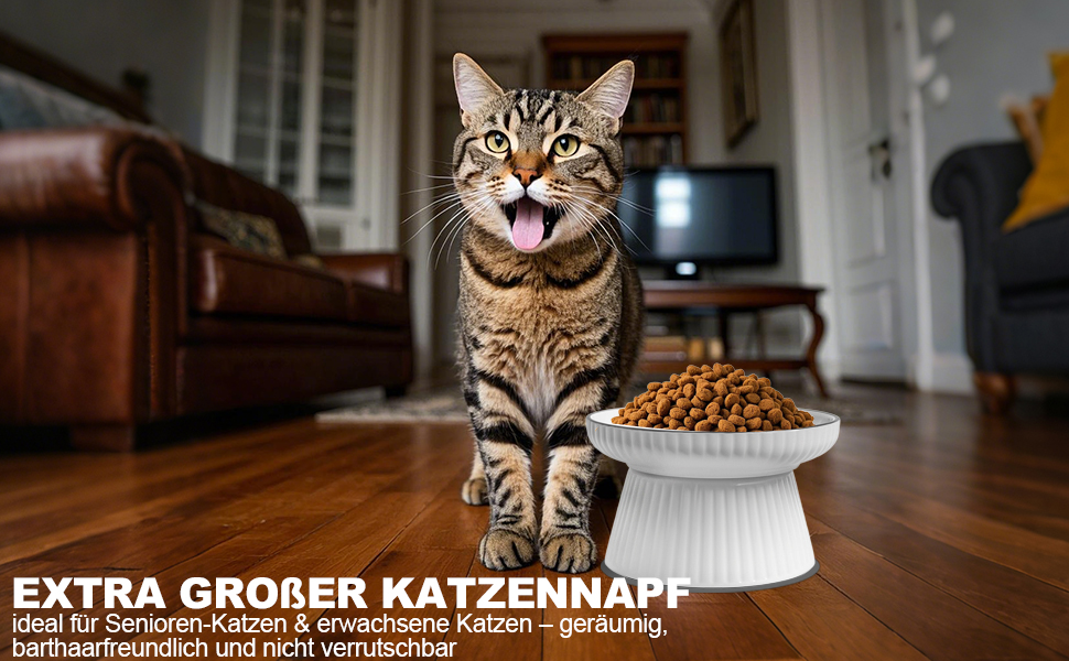 Котлові миски для котів, керамічні, великі, набір 2 шт. з антиковзною підкладкою