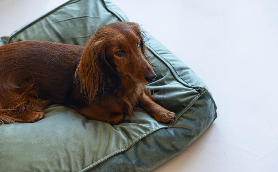 Подушка для собак Lotte Nalino, велюр, сіра, 70x55x15 см