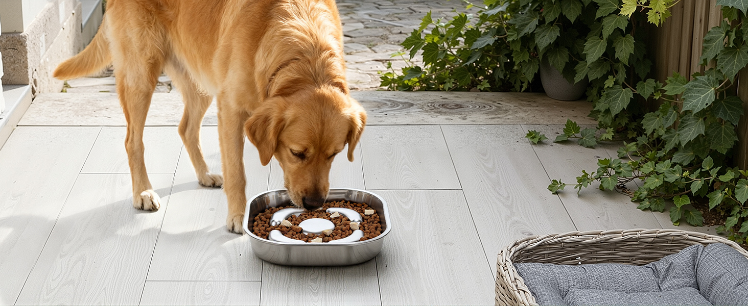 PETTOM Миска для собак протиковтання, нержавіюча сталь, Ø21 см, велика, повільне годування (23*23*4,5 см)