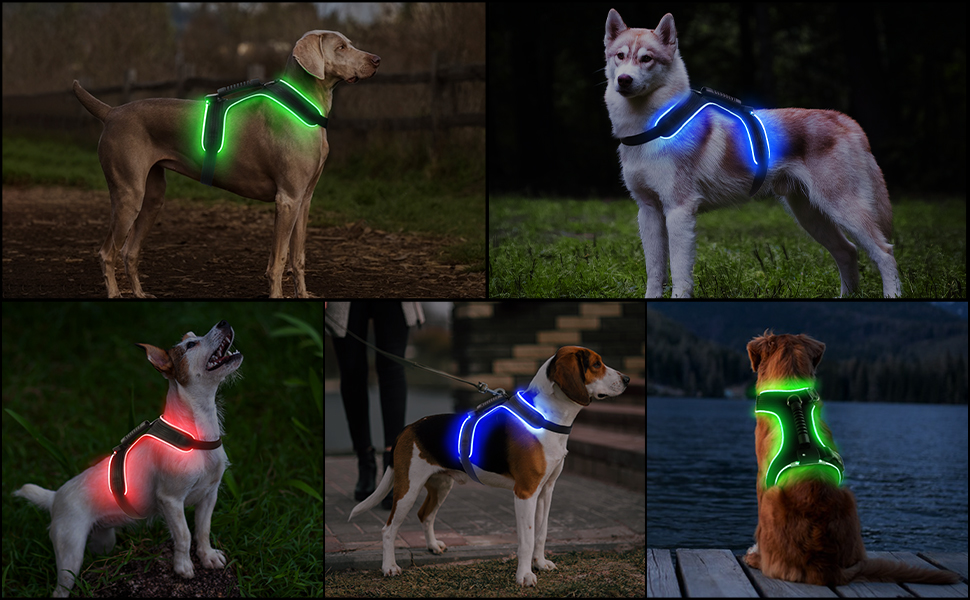 Світлодіодне обіднє нашийник для собак Masbrill, світловідбиваючий, з регулюванням, з ручкою, для малих, середніх та великих собак (Чорний/Червоний, S)