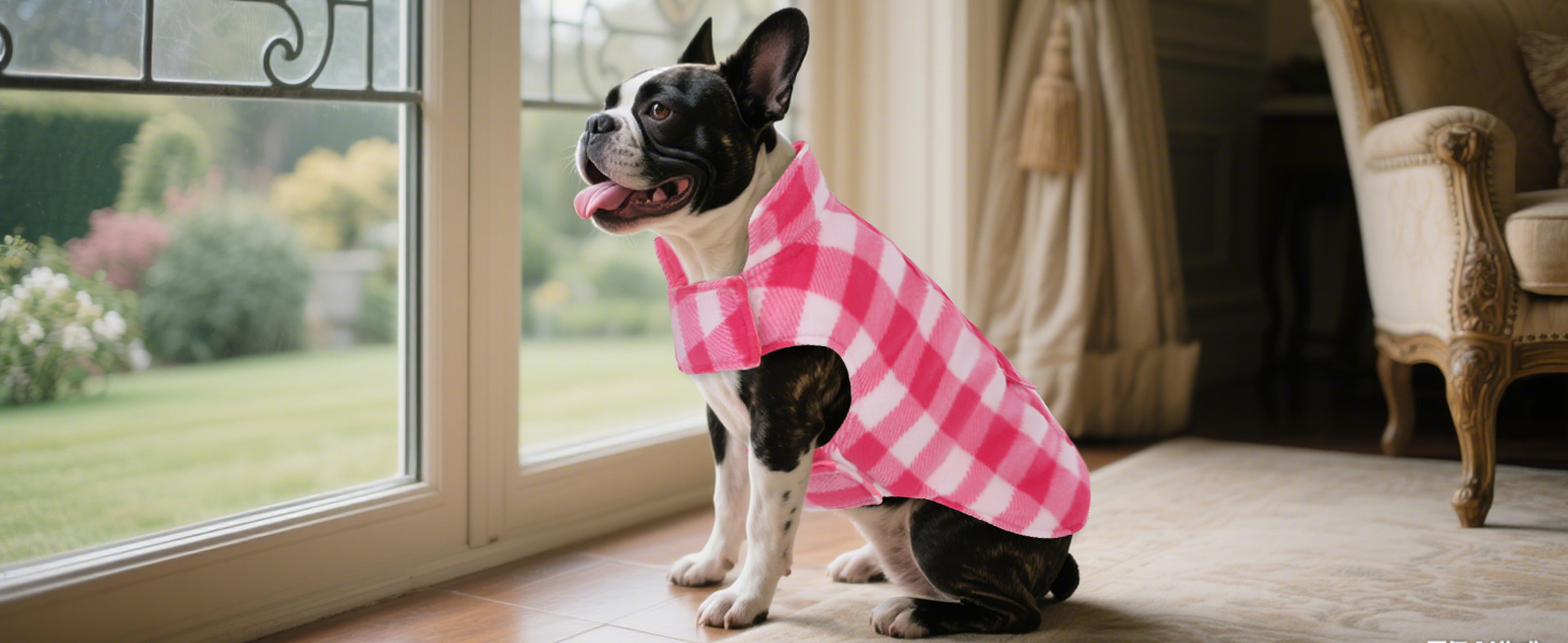 Зимовий теплий дощовик для собак XS, флісова куртка, дощовик для собак, 2 в 1, водонепроникний, вітрозахисний, з отвором для повідка, зелений