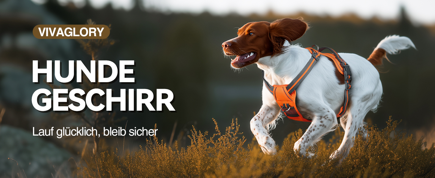 Шлейка для собак VIVAGLORY Easewalk, анти-тяга, для дресирування та прогулянок, з ручкою, не вислизає, для цуценят та собак, S, Sakura-Rosa, обхват грудей 36-61 см