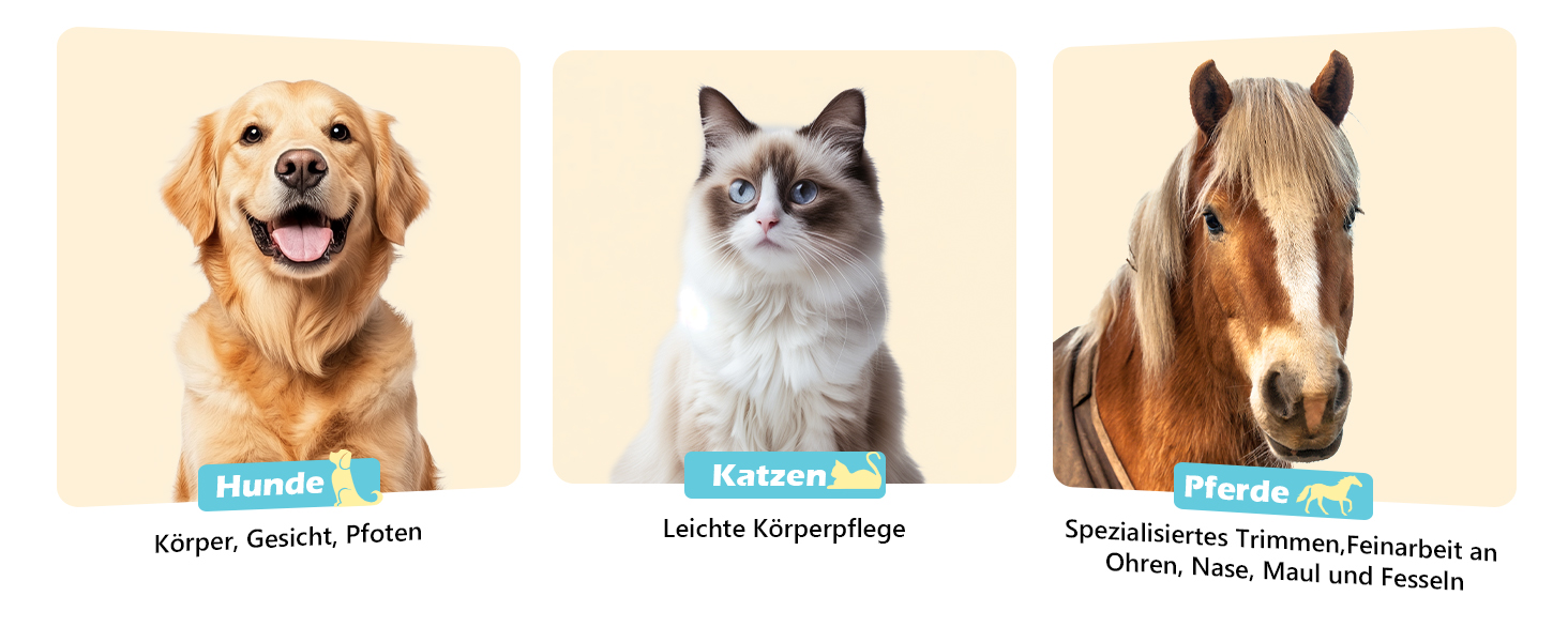 Машинка для стрижки собак Leise з LED-підсвічуванням, 2 швидкості, для догляду за обличчям, вухами, лапами. Блакитна