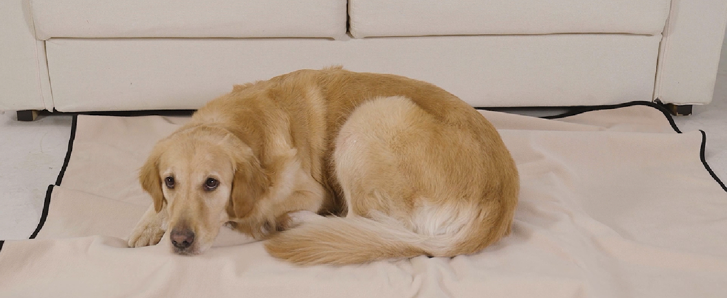 Водонепроникний коврик для собак PETTOM 152x127 см, м'який коврик для великих та маленьких собак, захисний коврик для дивана, ліжка, автокрісла, меблів - прання до 30°C (L, пісочний)