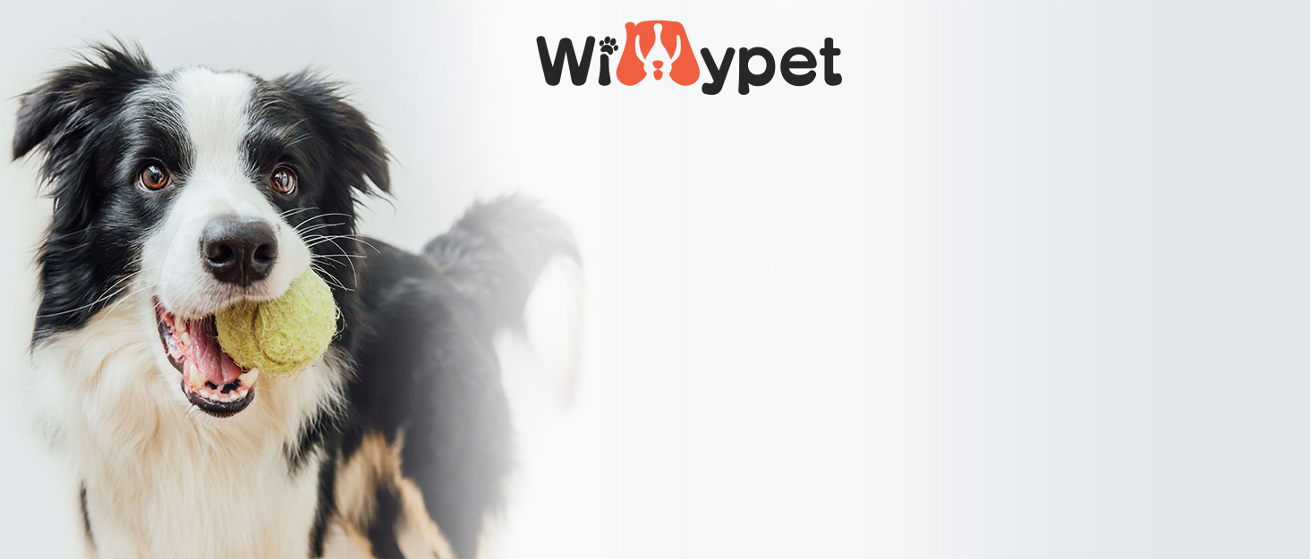 Автокрісло для собак, авточохол для собак малого та середнього розміру, з ременями безпеки, водовідштовхувальний, складаний