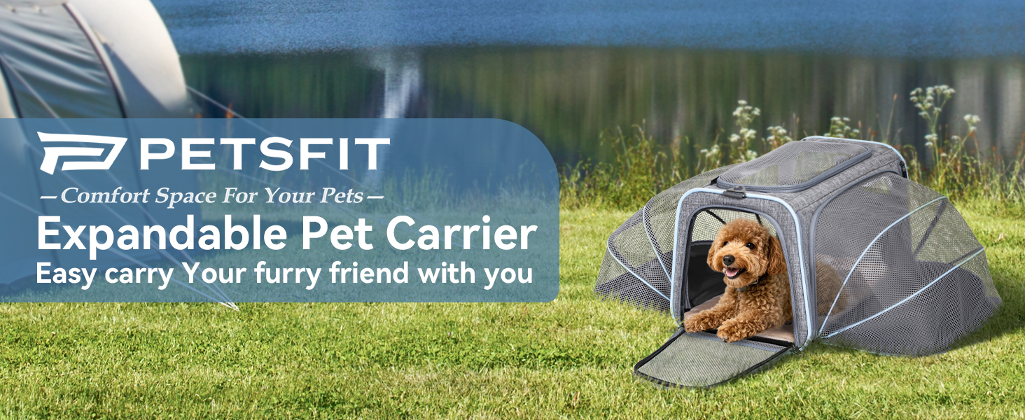 Транспортна сумка для кота та собаки Petsfit, розширювана переноска з плечовим ременем, сумка-переноска для собак та котів, авіапереноска, оксфордська тканина, M, Зелений/Одностороння зелена (Сірий, M/Двосторонній)