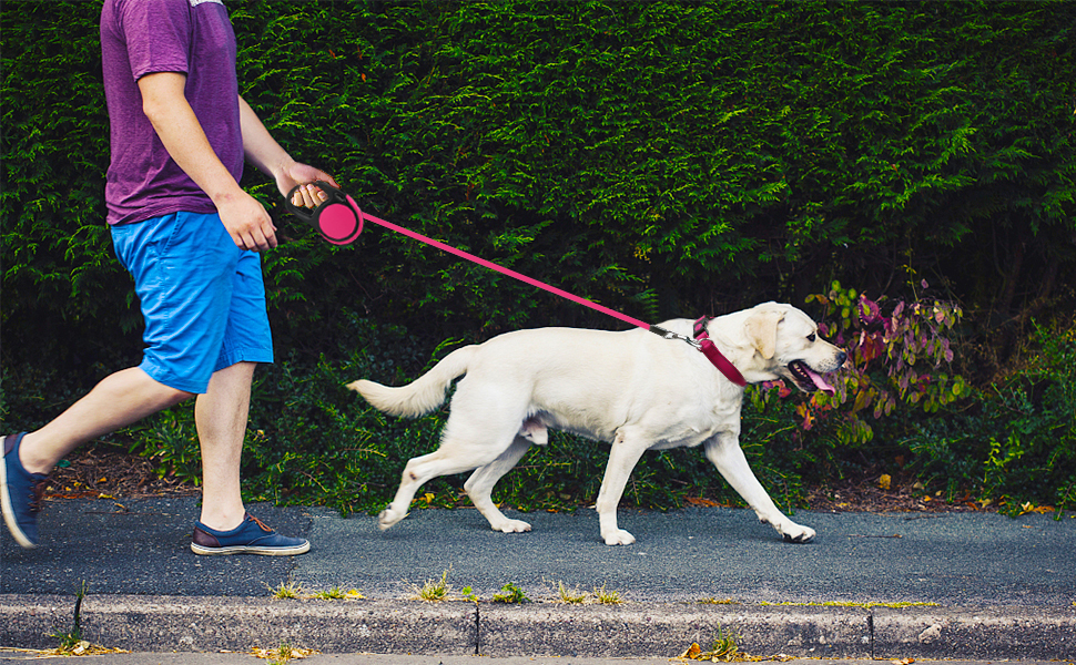 Висувна поводок для собак Taglory, 5м, рожевий, для середніх та великих собак до 45 кг, з надійним гальмом та антиковзним руків'ям