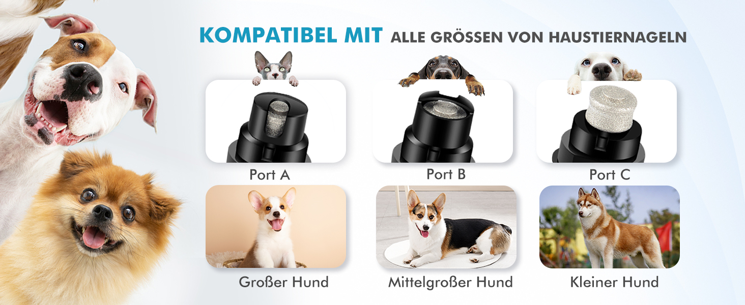 Шліфувальник для собак ETENTOUS: професійний, тихий, з 3 насадками та ножицями для догляду за кігтями. Підходить для собак великих, середніх та малих порід. Чорний колір.