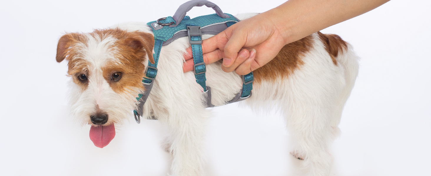 Нашийник-шлейка Huntboo для собак, анти-випадковий вихід, для панічних собак, світловідбиваючий нашийник з ручкою, регульований (S, 1 шт., блакитно-зелений)