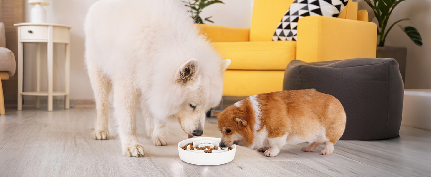 Антислизька годівниця для собак, Slow Feeder, кераміка, Ø 20.5 см, для середніх та великих собак, миюча, безпечна для їжі (біла)