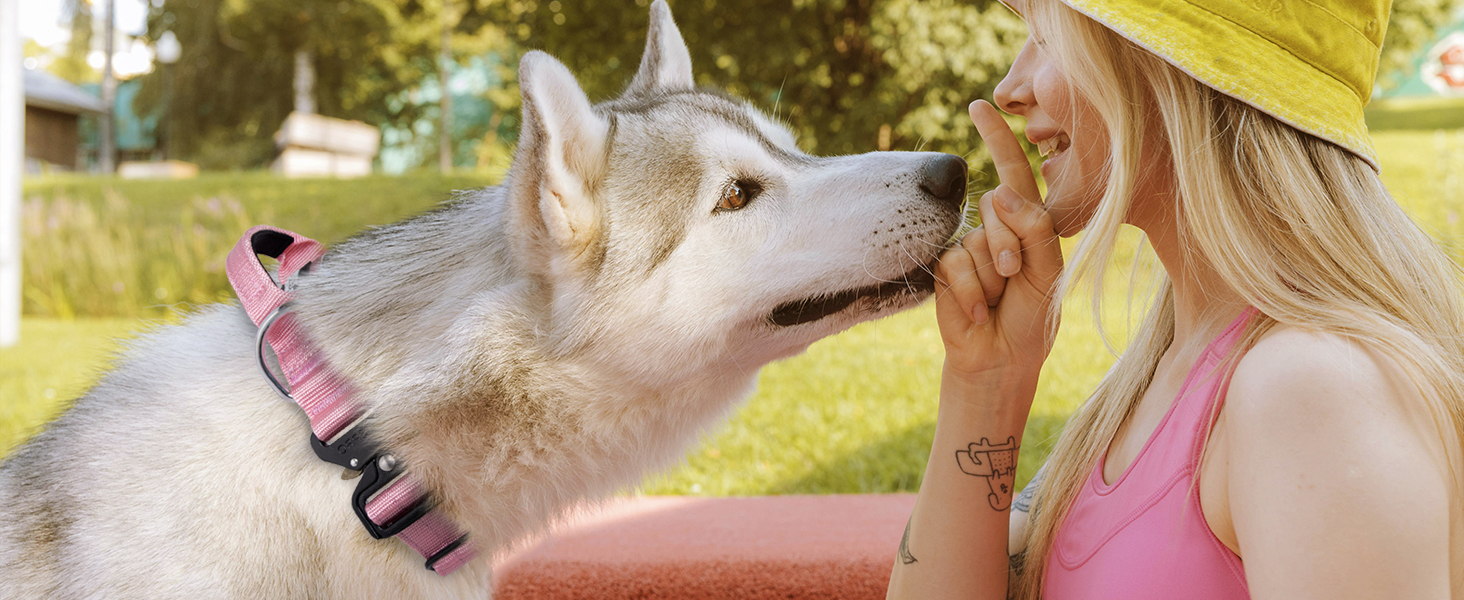 TSPRO Преміум нашийник для собак з ручкою, тактичний, товстий, регульований, для середніх та великих собак (Помаранчевий L), розмір ручки L, регулювання 44.5-62.2 см
