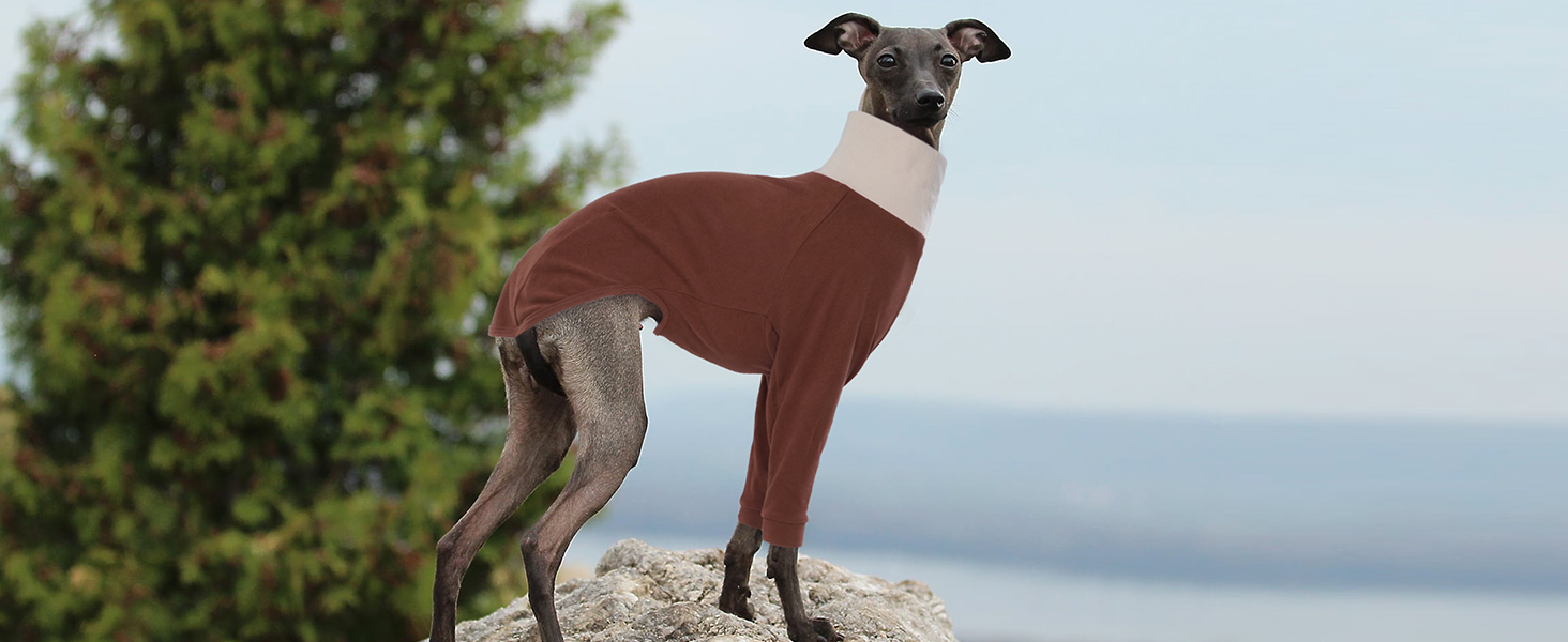 Пуловер для Віндхундів IECOii: теплий, з високим коміром, з флісу, чорний, XS