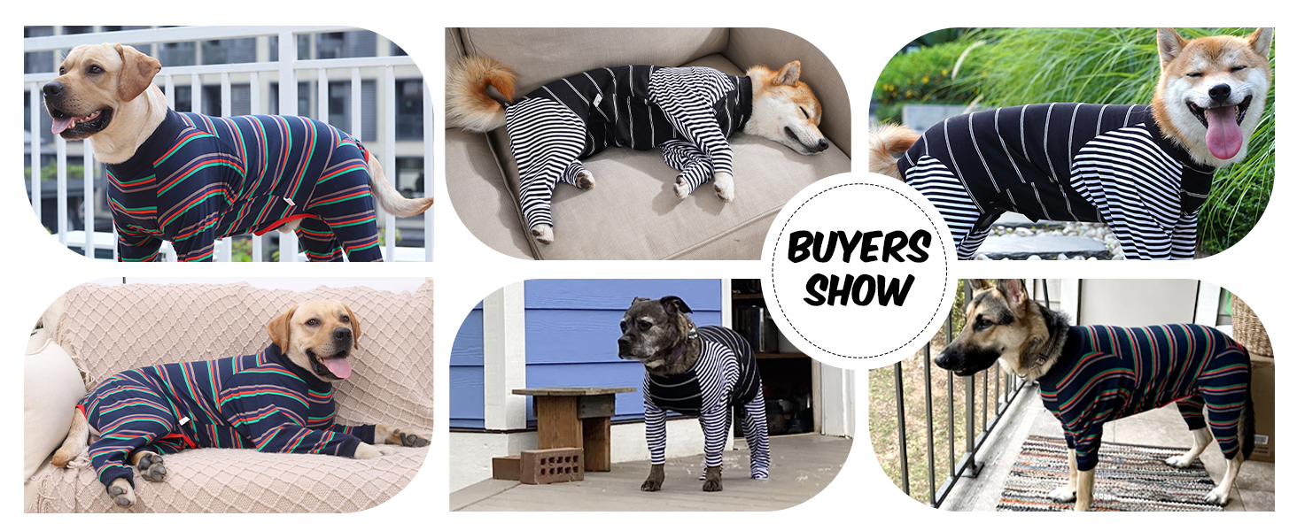 Піжама для собак після операції, комбінезон з довгим рукавом, синій (1 шт.)