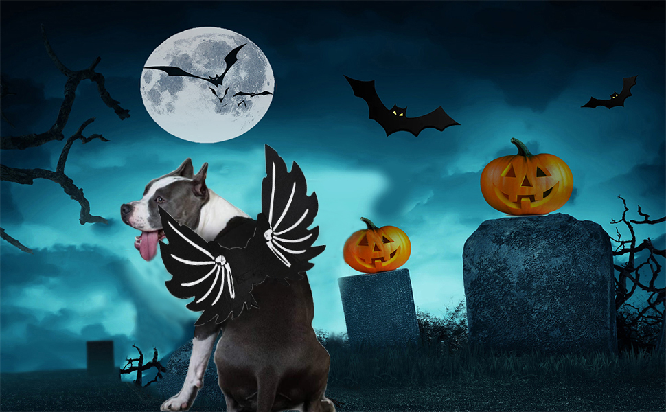 Костюм для тварин на Хелловін: крила кажана для котів та собак, чорний, M145