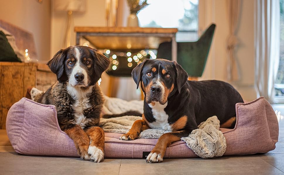 Ортопедичне ліжко для собак Tierlando® Goofy Couture з захистом для матраца, знімний чохол з меблевої тканини, для собак середніх та великих порід, розмір: 90x75 см, колір: коричневий