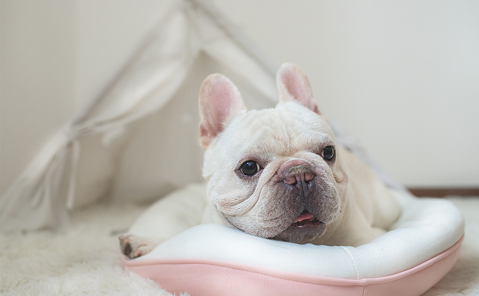 М'яка флісова ковдра для собак та котів LeerKing 2 шт. (75x100 см) рожево-зелена