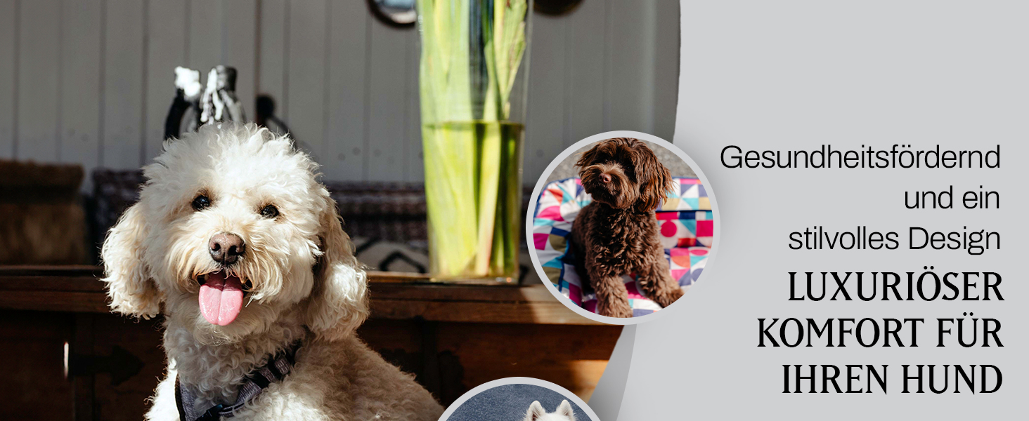 bo&flash Hundebett 'Romy' - М - Софа для собак, велика та маленька, з антиковзким покриттям, легко миється