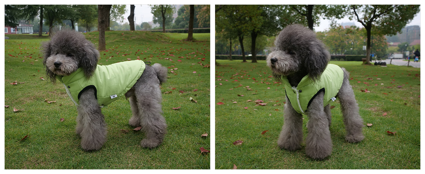 Водонепроникна флісова жилетка для собак Lovelonglong - чорна, 3XL