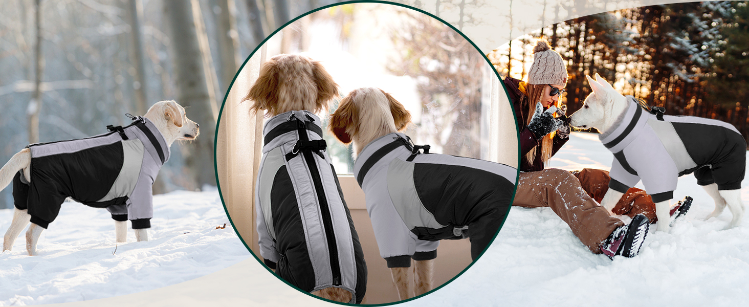 Водонепроникний собачий плащ Kuoser для маленьких собак - теплий зимовий плащ з шлейкою та світловідбиваючими деталями, чорний, розмір M